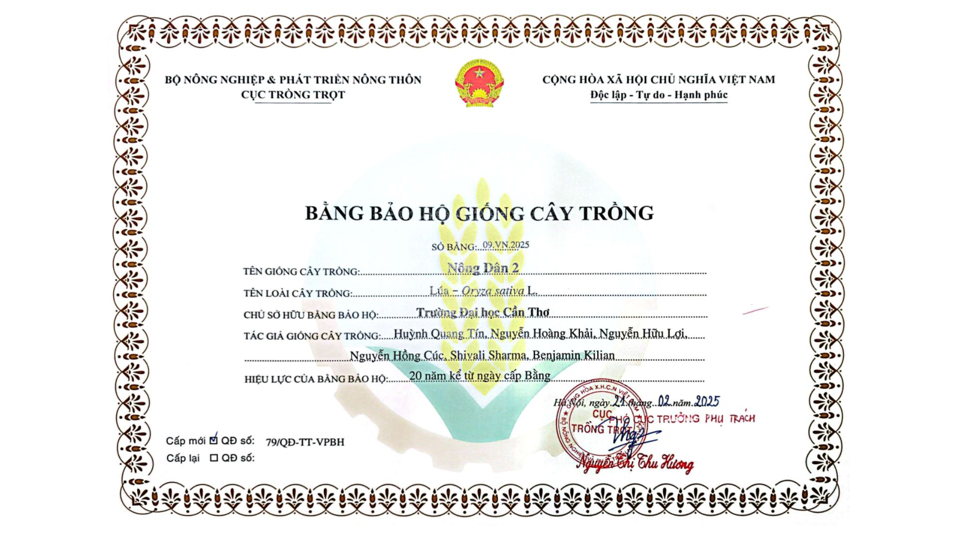 Giống lúa Nông Dân 2 của Đại học Cần Thơ…